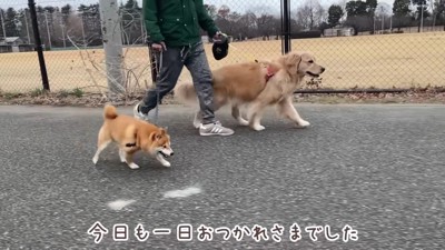 うにくんとおからちゃん