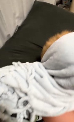 なかなか顔を出さない