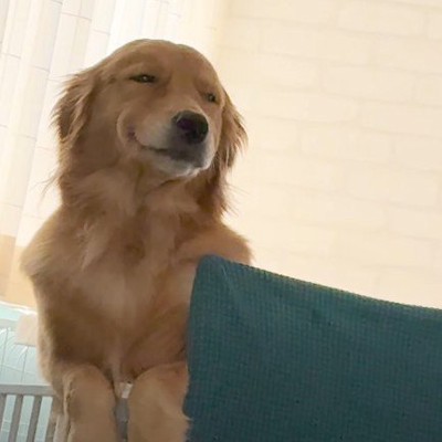 まるで人間みたいな笑顔!!