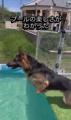 プールで特訓するエースくん⑩