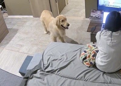 「褒めんかーい！」