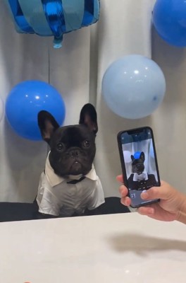 お父さんを見るぼんくん