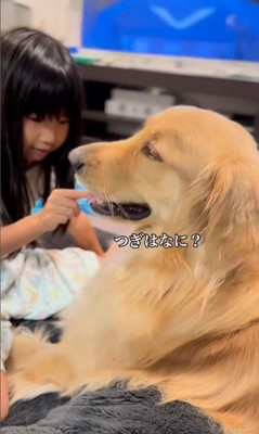 女の子とシンバくんのやり取り7