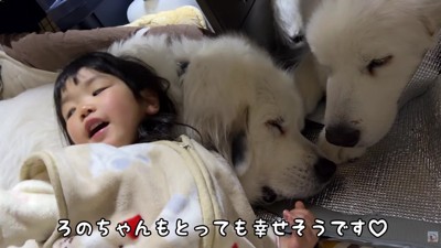 微笑ましい光景にホッコリ