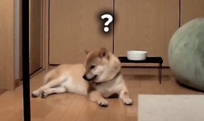 「なんですか?」