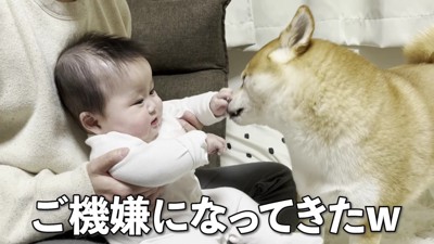 ご機嫌になってきた♪