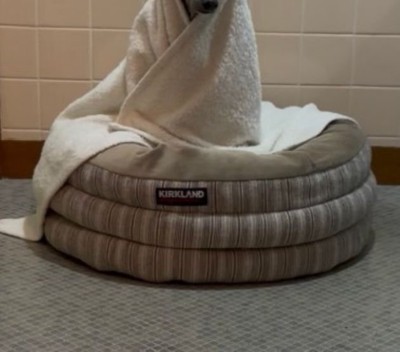 脱衣所で待機中のプットくん