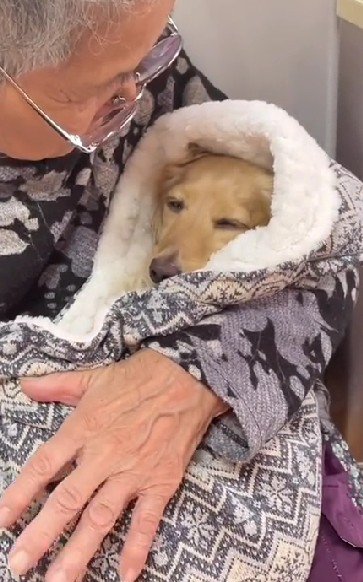 徐々に目が閉じて…