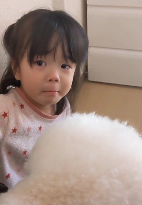 ぷぷちゃんが動かない…