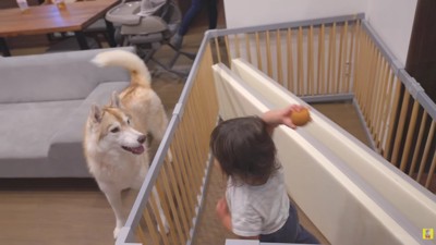 現在の光景にホッコリ