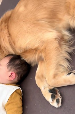 ぴったりくっついて…