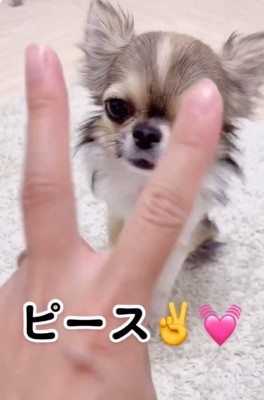 ピースするママ