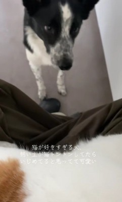 「痛くない？大丈夫？」