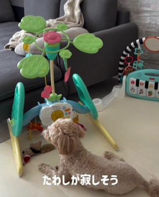 おもちゃを改造したら…