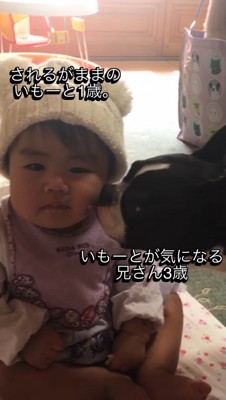 赤ちゃんの頬を舐める犬