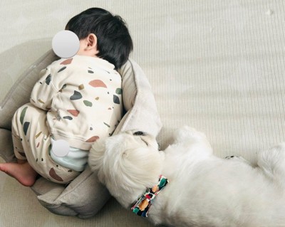 犬用ベッドで寝る男の子が♪