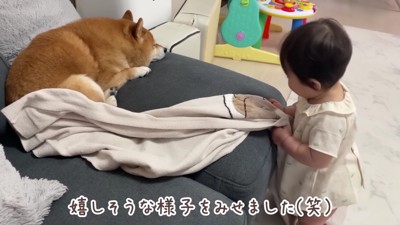 お昼寝の提案に女の子もニッコリ