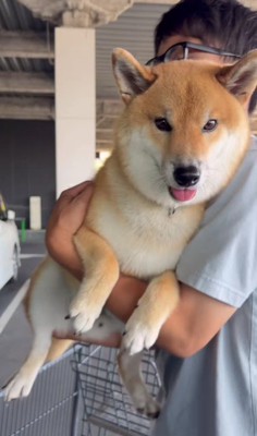 パパの抱っこなのに…!?