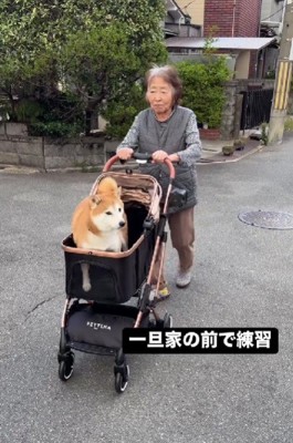 初めてのペットカート