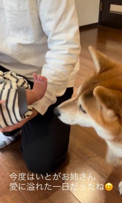 いとちゃんの成長記録9