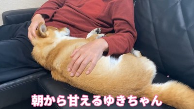 さっそく甘えん坊モード