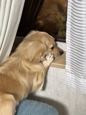 モデル