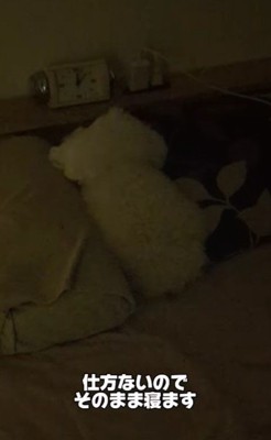 そのまま寝ちゃった