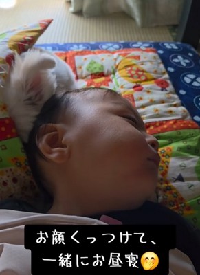 寄り添って眠る小型犬と赤ちゃん