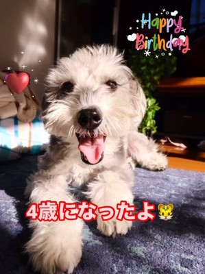 ずっと幸せにね!