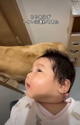 抱っこされる赤ちゃん