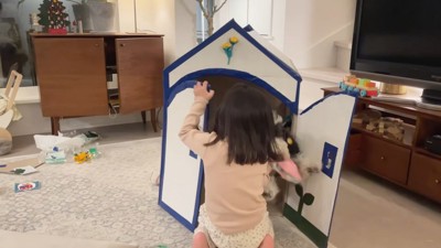 手を噛まれてしまいました!