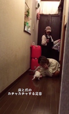 床を掻くカチャカチャ音も…