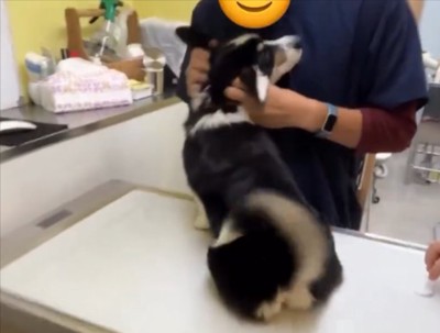 挨拶
