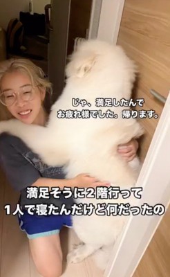 犬を床に降ろす女性