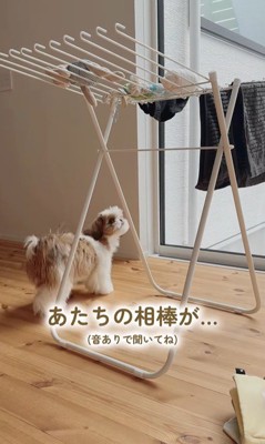 おもちゃを干した時のちゃぽちゃん