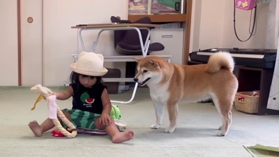 ロープを渡して欲しそう