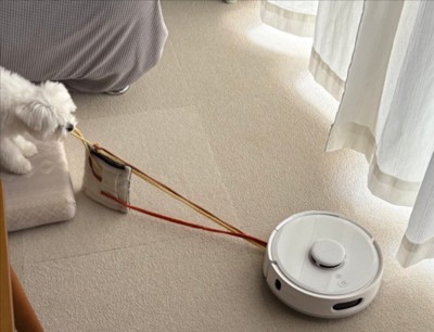 つれない素振り