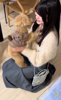 モコちゃんと飼い主さんの再会4