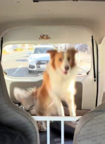 慣性の法則で遊ぶことも