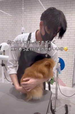 抱っこされにいく犬