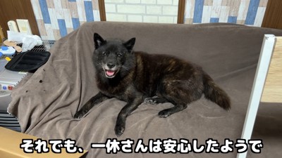 2人の元気な姿を見て一安心♪