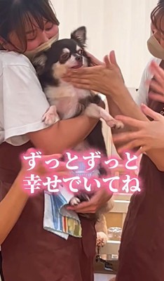 イブちゃんが幸せを掴むまで⑩