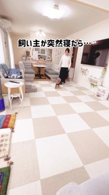 リビングに入ってくる飼い主と茶色い犬