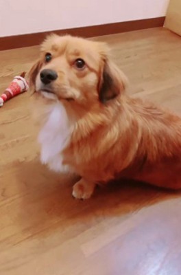 ちょっぴり成長しすぎた!?