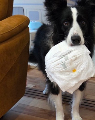 「おむついる?これでいい?」