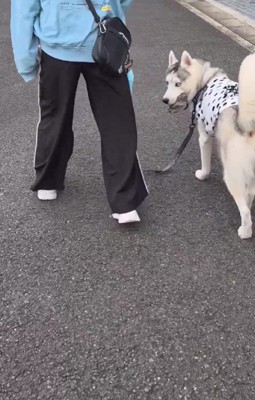 自慢げな顔にホッコリ♡