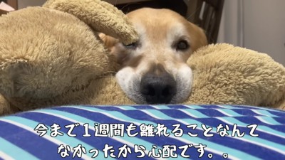 パパが出張へ…