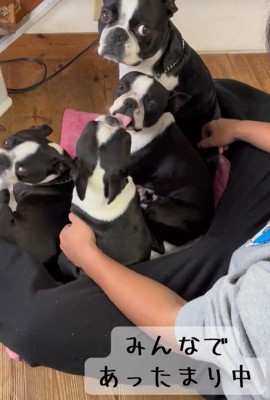 くっついて暖を取っています♪