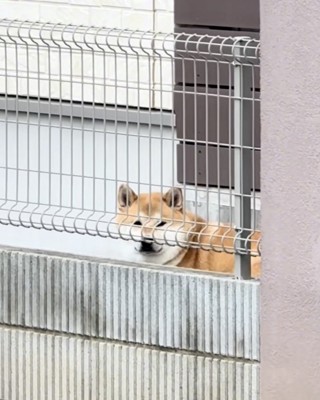 自分の時間、たいせつ！