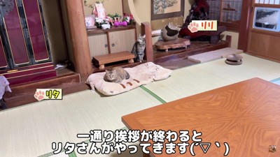 姉妹そろって挨拶